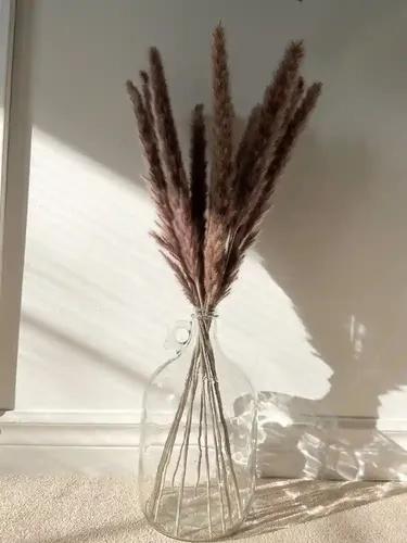 Mini pampas for Vase