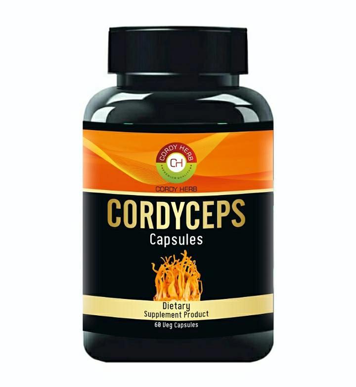 CORDY HERB Cordyceps Mushroom 500 gm, 60 Veggie Capsules